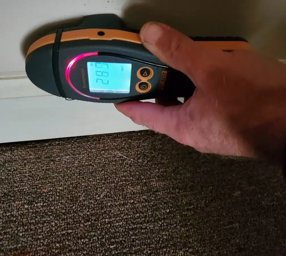 Moisture detection at baseboard during Sewage Cleanup & Sanitation in Greenville